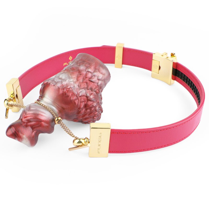 Fantasy Mouth Opener Gag - Dog Dick